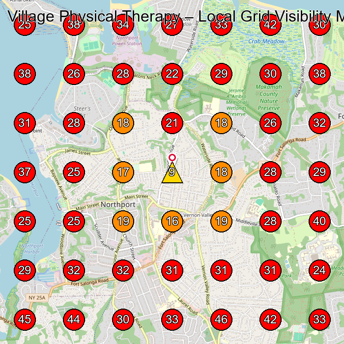 Village Physical Therapy GeoGrid visibility map for Physical Therapy Clinic in East Northport